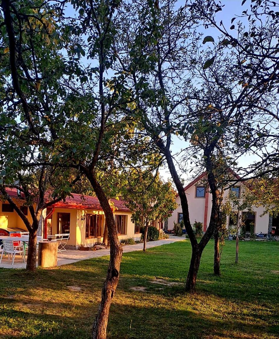 Pensiunea Casa Noastra Baia de Fier Zewnętrze zdjęcie