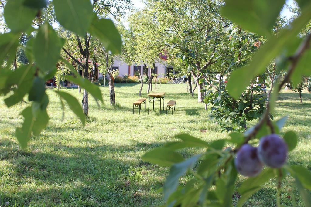 Pensiunea Casa Noastra Baia de Fier Zewnętrze zdjęcie
