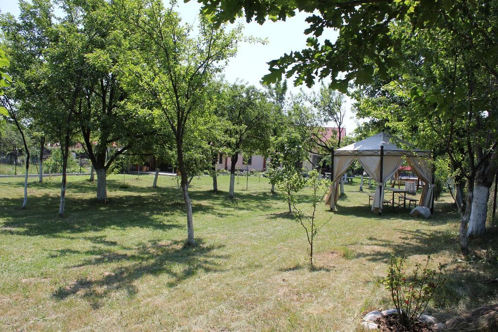 Pensiunea Casa Noastra Baia de Fier Zewnętrze zdjęcie