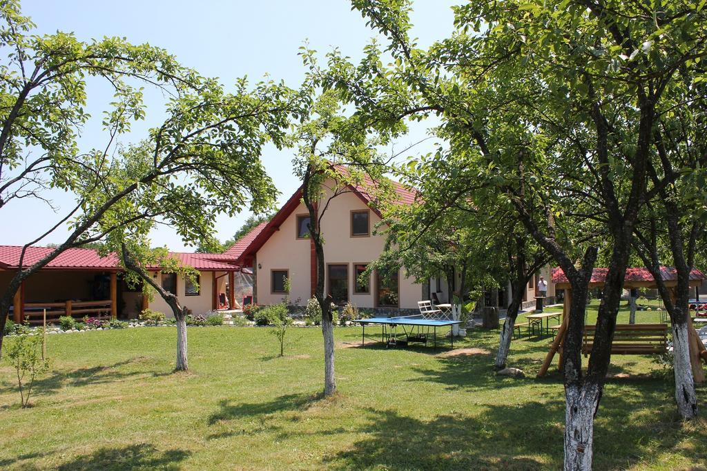 Pensiunea Casa Noastra Baia de Fier Zewnętrze zdjęcie