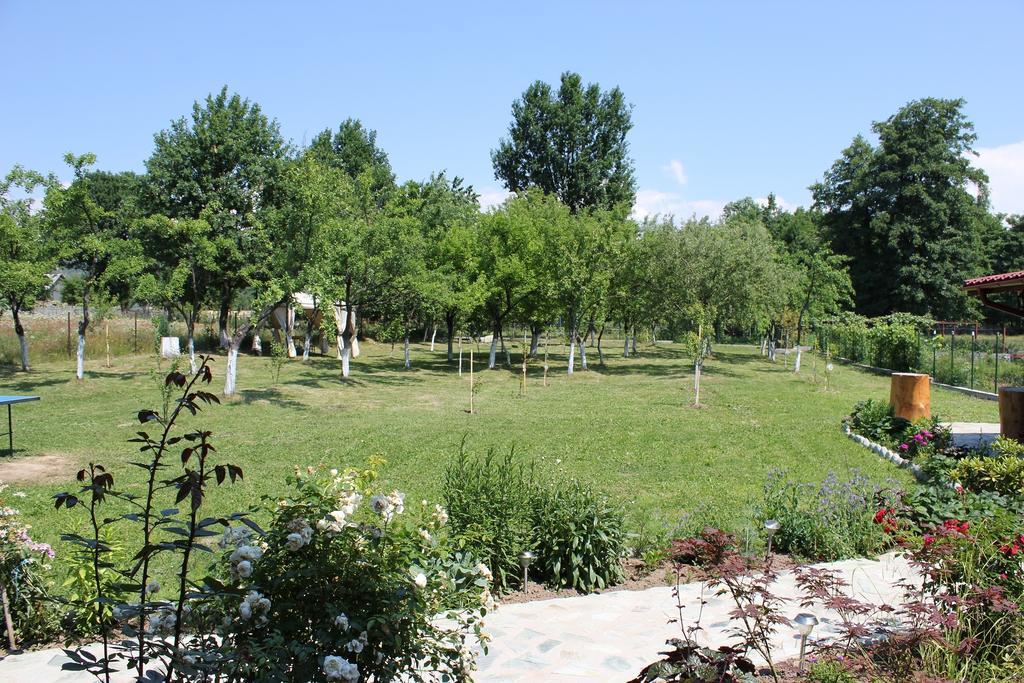 Pensiunea Casa Noastra Baia de Fier Zewnętrze zdjęcie