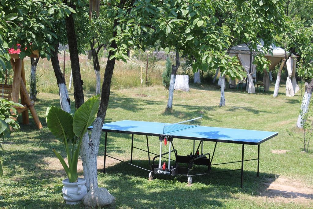 Pensiunea Casa Noastra Baia de Fier Zewnętrze zdjęcie