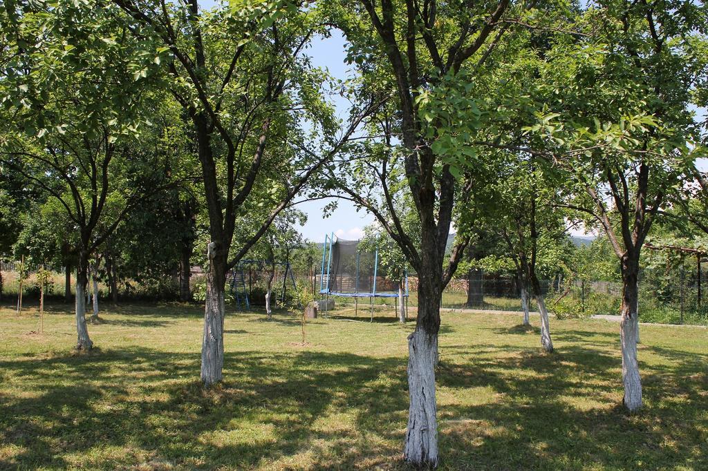 Pensiunea Casa Noastra Baia de Fier Zewnętrze zdjęcie
