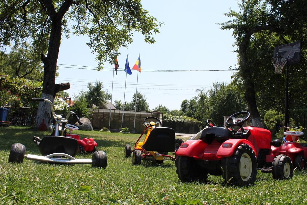 Pensiunea Casa Noastra Baia de Fier Zewnętrze zdjęcie
