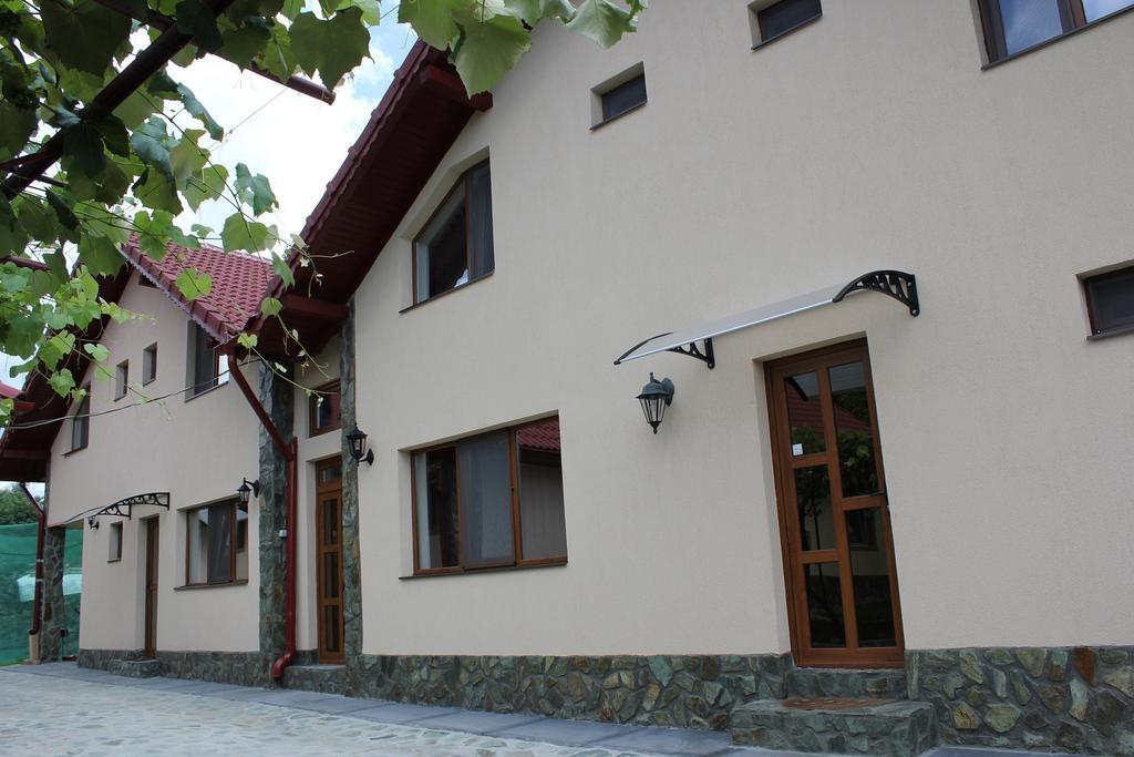 Pensiunea Casa Noastra Baia de Fier Zewnętrze zdjęcie